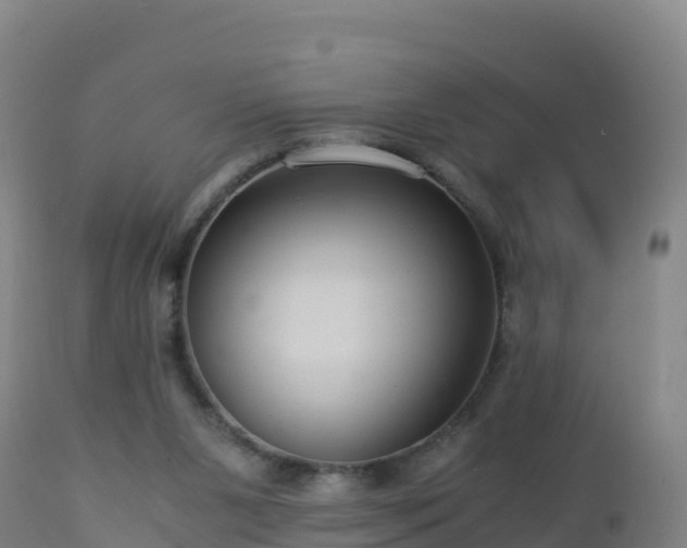 X0000112900111200908281735