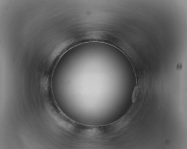 X0000112900112200908281735