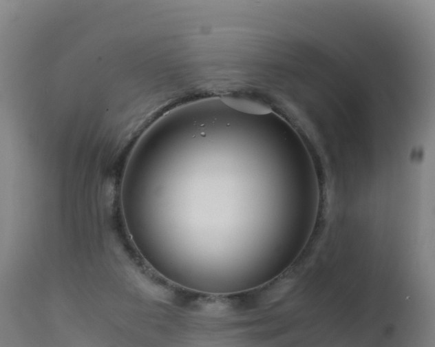 X0000112900113200908281735