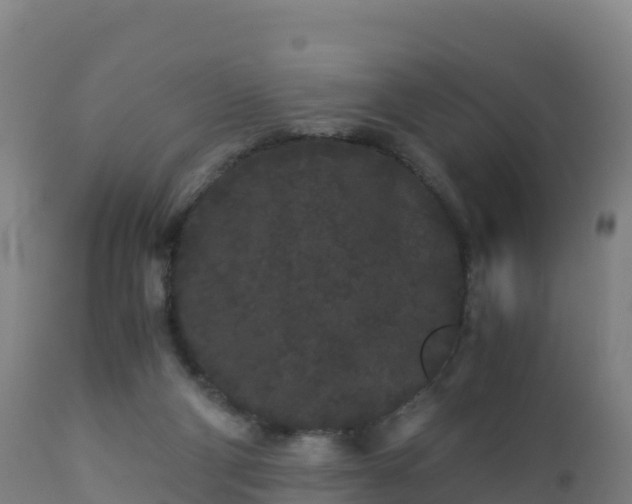 X0000112900114200908281735