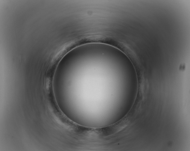 X0000112900115200908281735