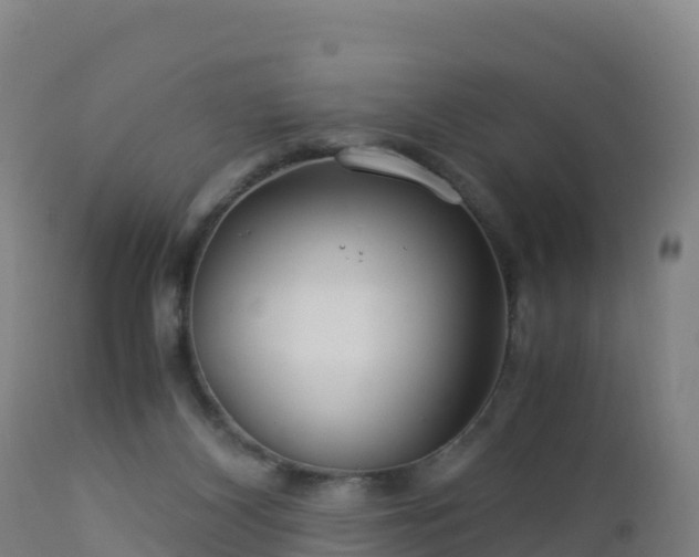 X0000112900116200908281735