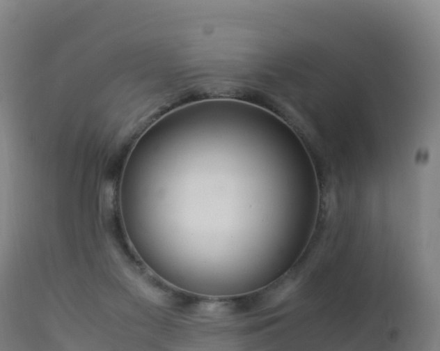 X0000112900117200908281735