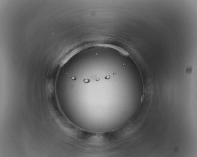 X0000112900119200908281735