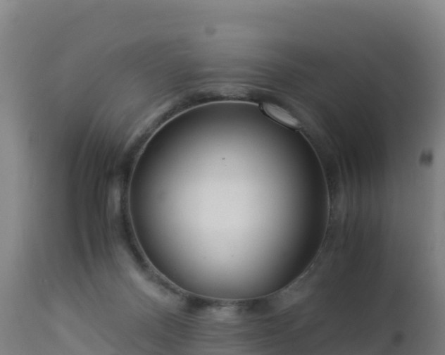 X0000112900120200908281735