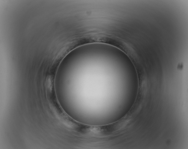 X0000112900121200908281735