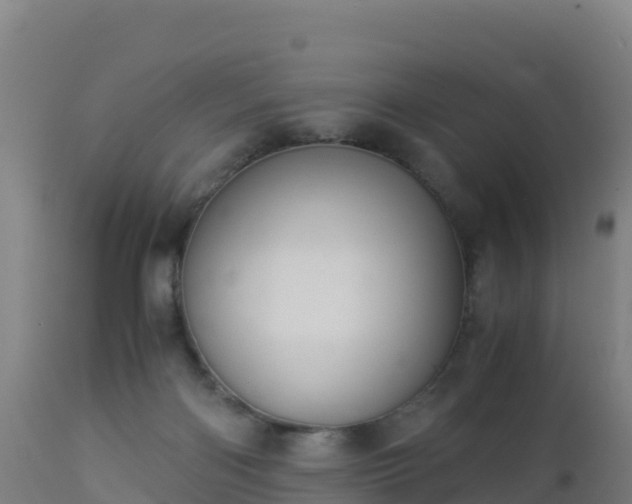 X0000112900122200908281735