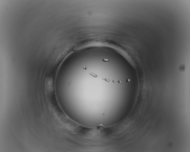 X0000112900123200908281735