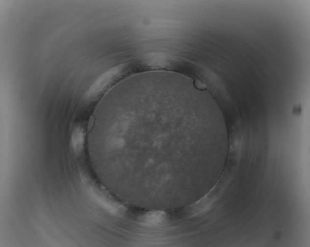 X0000112900124200908281735