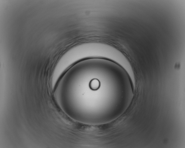 X0000112900125200908281735