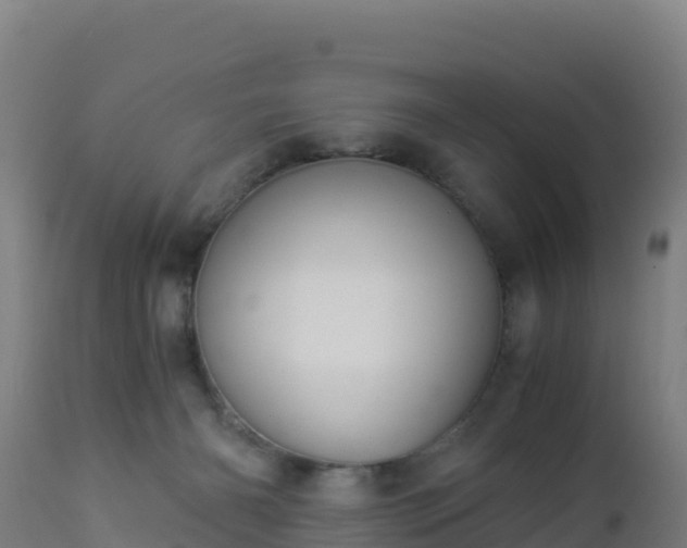 X0000112900126200908281735