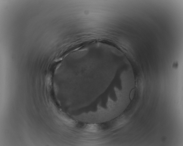 X0000112900127200908281735