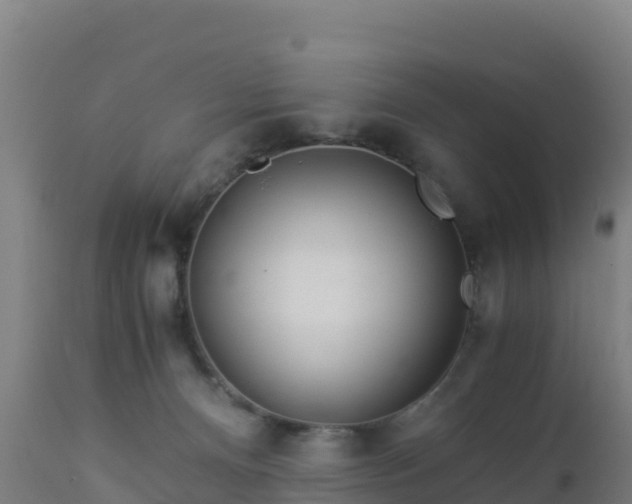 X0000112900128200908281735