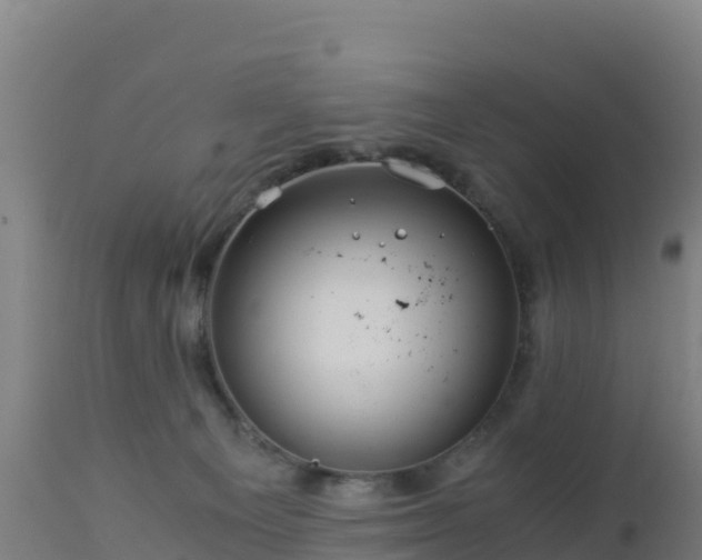 X0000112900129200908281735