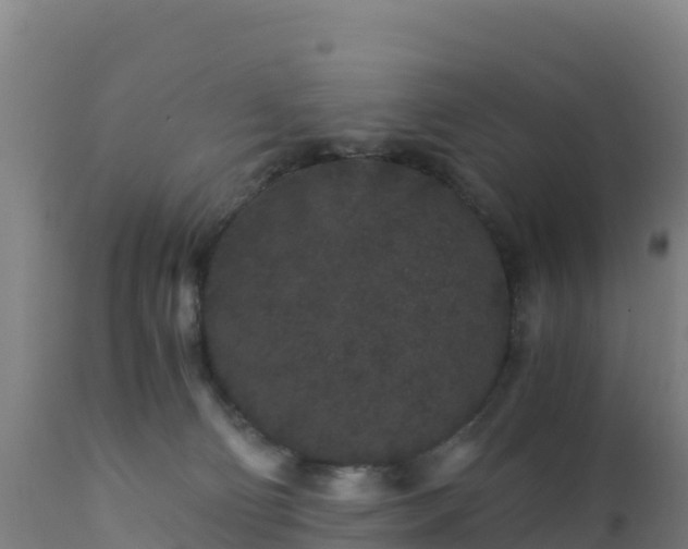 X0000112900130200908281735