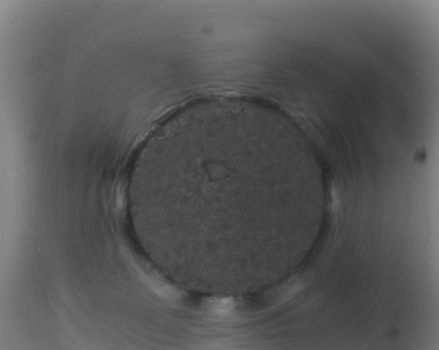 X0000112900131200908281735