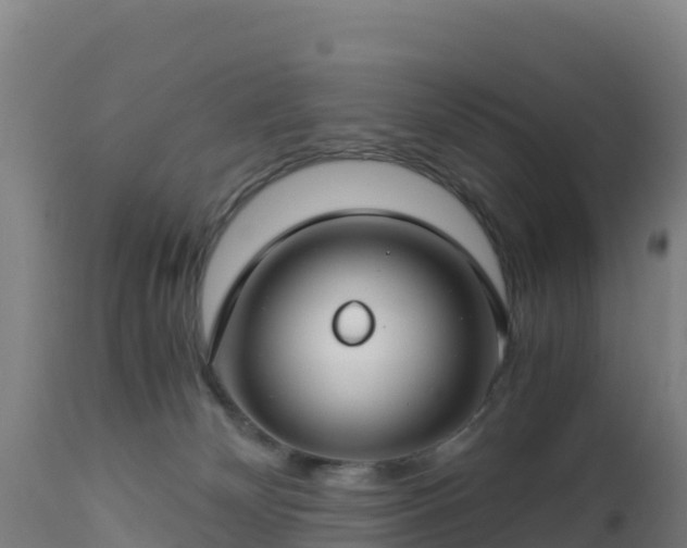 X0000112900132200908281735