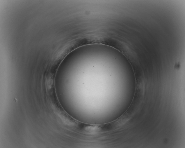 X0000112900133200908281735