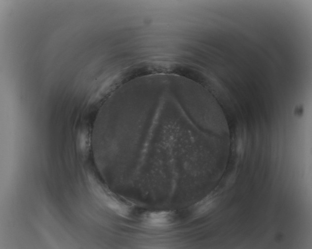 X0000112900134200908281735