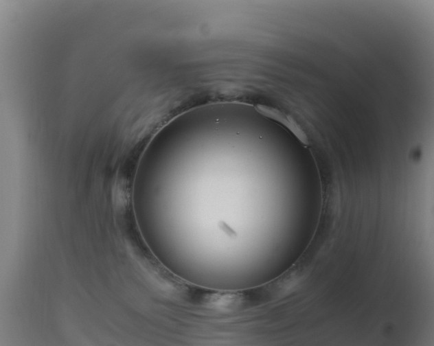 X0000112900135200908281735