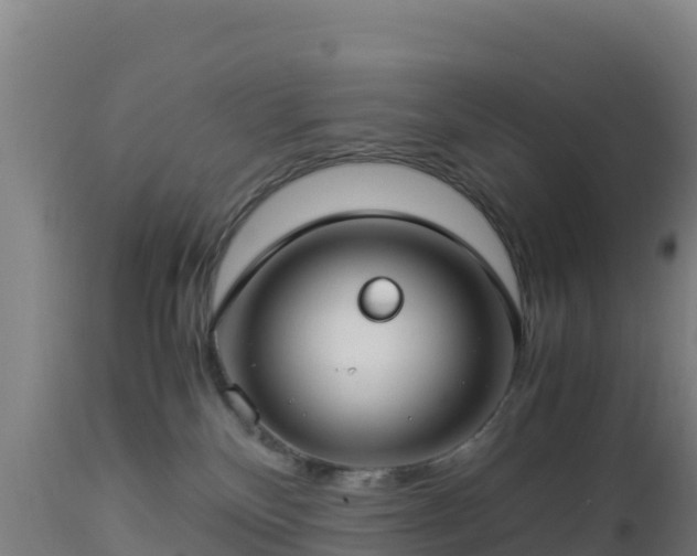 X0000112900136200908281735