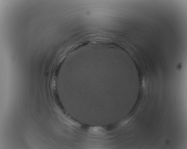 X0000112900137200908281735