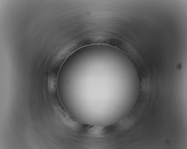 X0000112900138200908281735