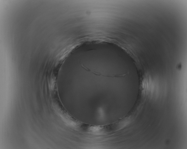 X0000112900139200908281735