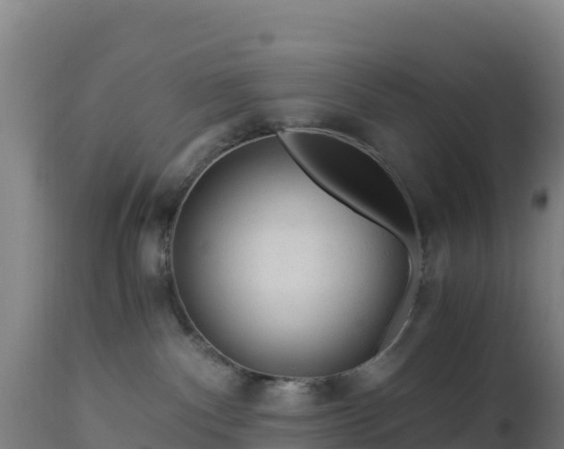 X0000112900140200908281735