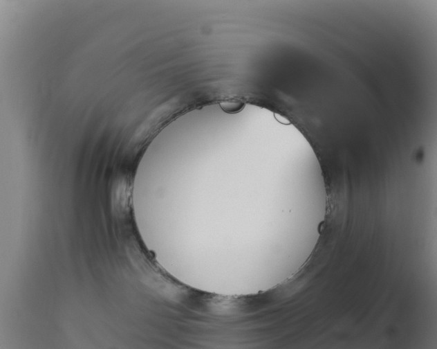 X0000112900142200908281735