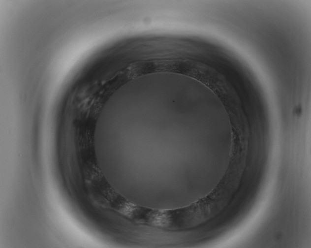 X0000112900143200908281735