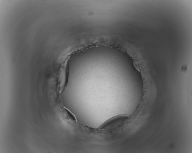 X0000112900144200908281735