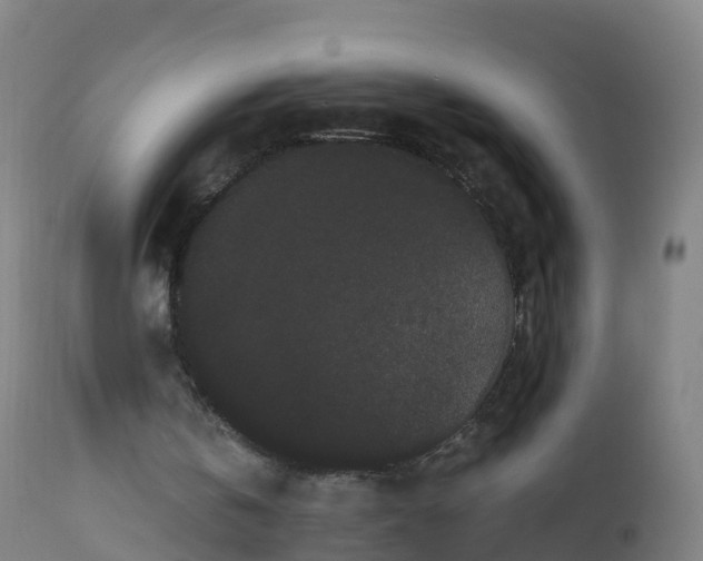 X0000112900146200908281734