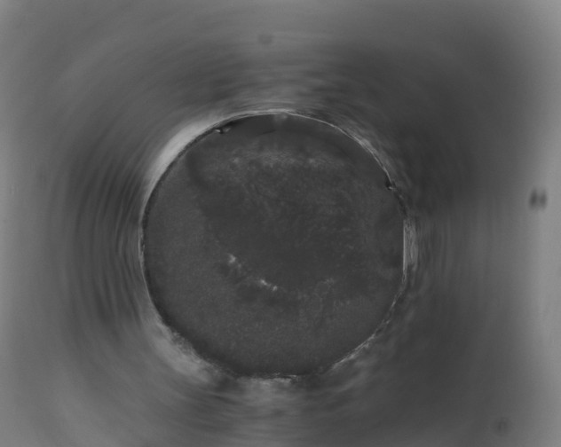 X0000112900147200908281734