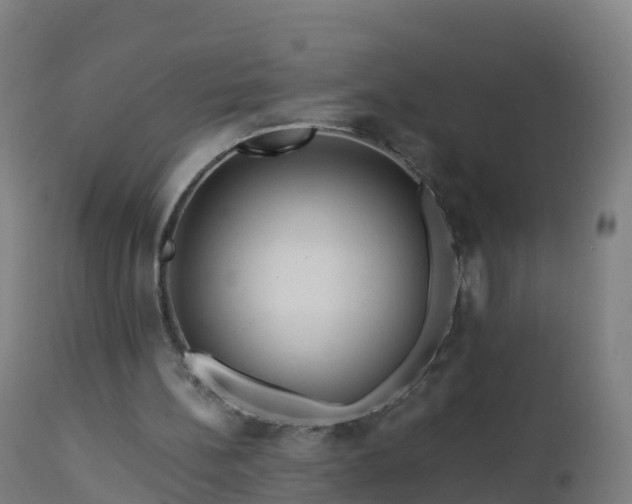 X0000112900148200908281734