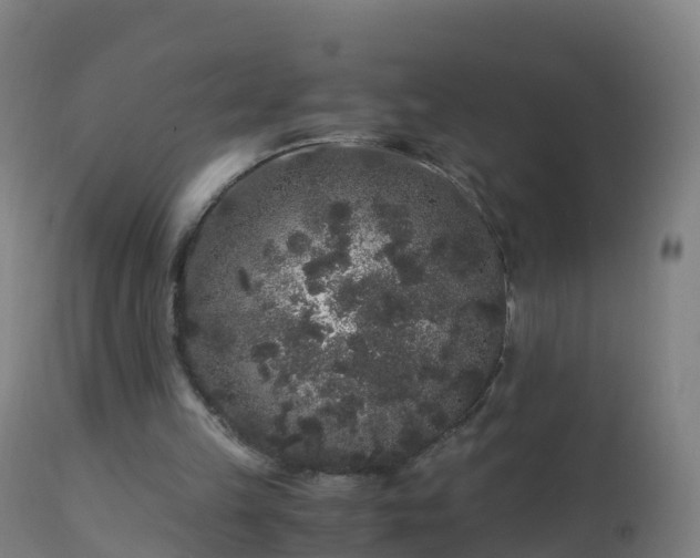 X0000112900149200908281734