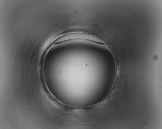 X0000112900150200908281734