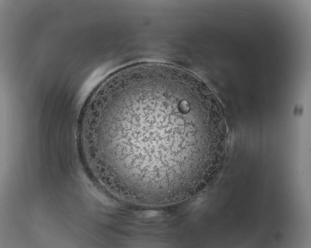 X0000112900151200908281734