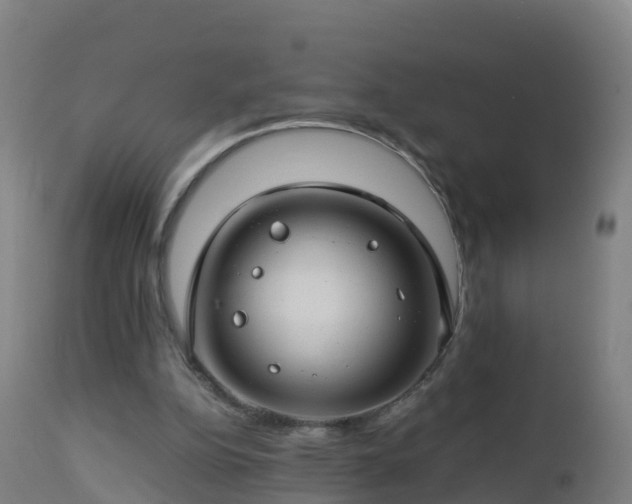 X0000112900152200908281734