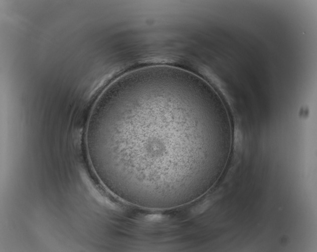 X0000112900153200908281734