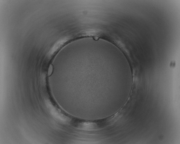 X0000112900154200908281734