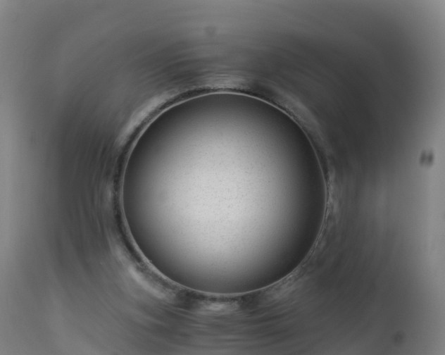 X0000112900155200908281734