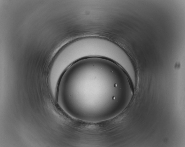 X0000112900156200908281734