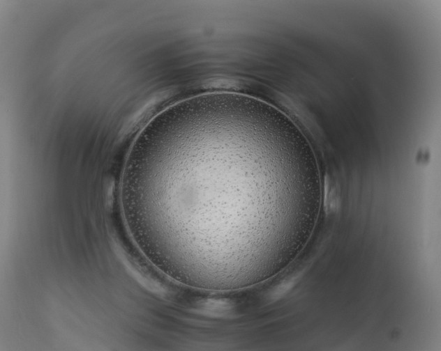 X0000112900157200908281734