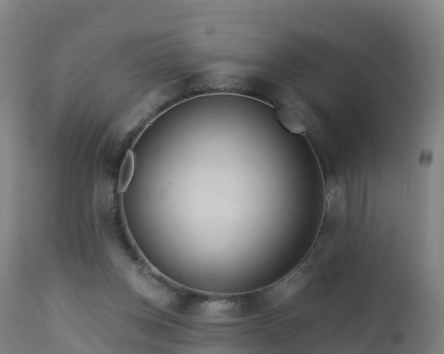 X0000112900158200908281734