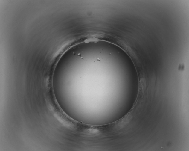 X0000112900159200908281734