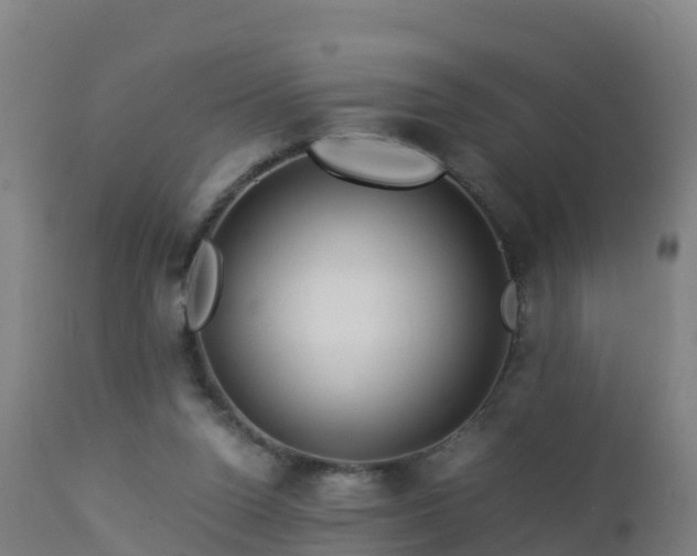 X0000112900160200908281734