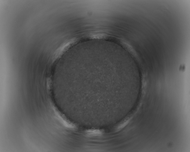 X0000112900161200908281734