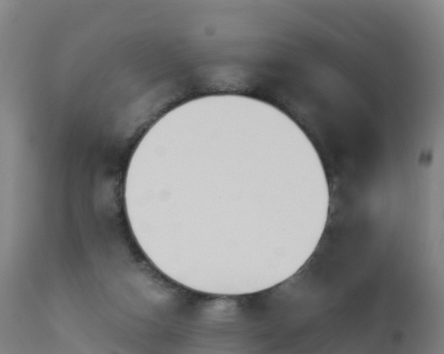 X0000112900162200908281734