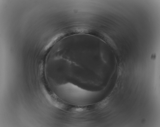 X0000112900163200908281734